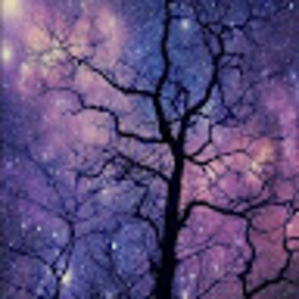 Meet your Posher, Mikaila